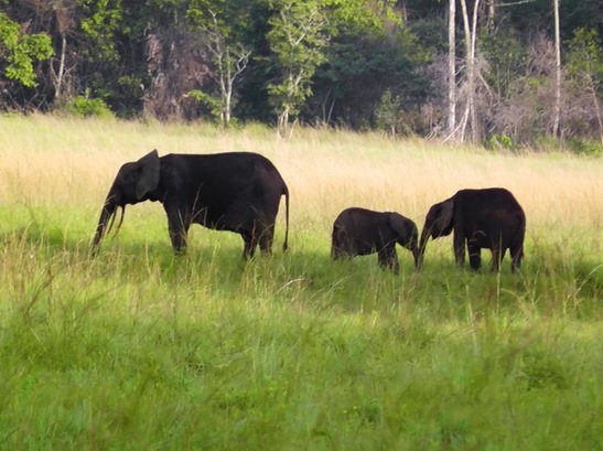 My Favorite 10 Things to Do in Libreville, Gabon