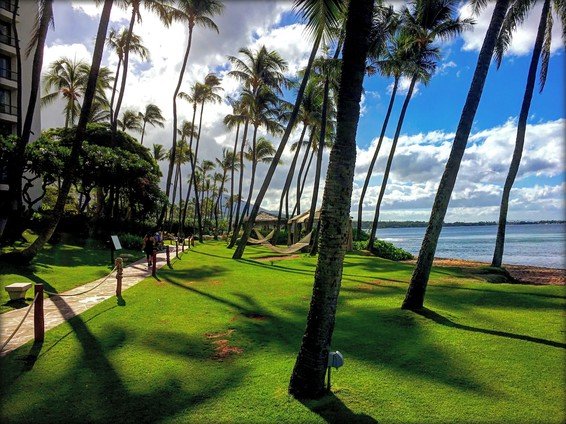 Hyatt Regency Maui Resort and Spa Kaanapali Review