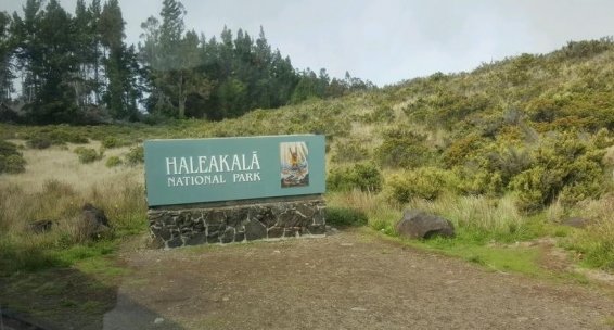 My 25 Favorite Things to do Maui (Lahaina, Kihei, Wailea)