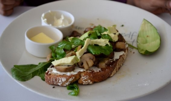 My Favorite 26 Things to do Cape Town, South Africa
