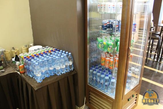 Airport Business Lounge (Priority Pass) Domodedovo Airport Review
