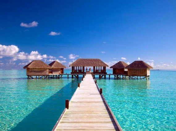 Review: Citi Hilton HHonors Reserve Card