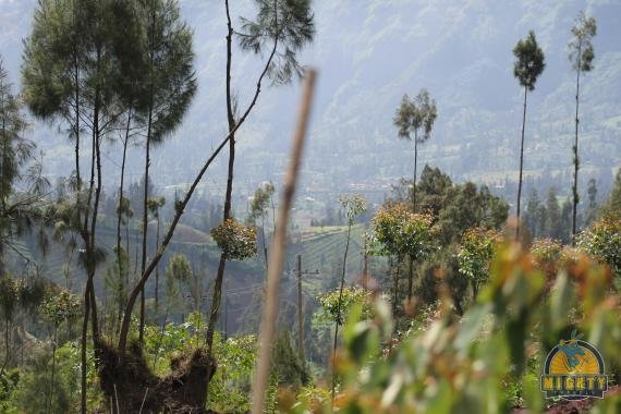 Review: Your guide to Mount Bromo, Eastern Java, Indonesia