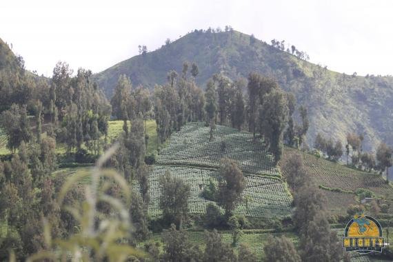 Review: Your guide to Mount Bromo, Eastern Java, Indonesia