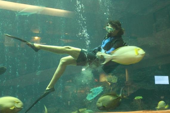 Review: The Oceanarium Restaurant – Pacific Beach Hotel