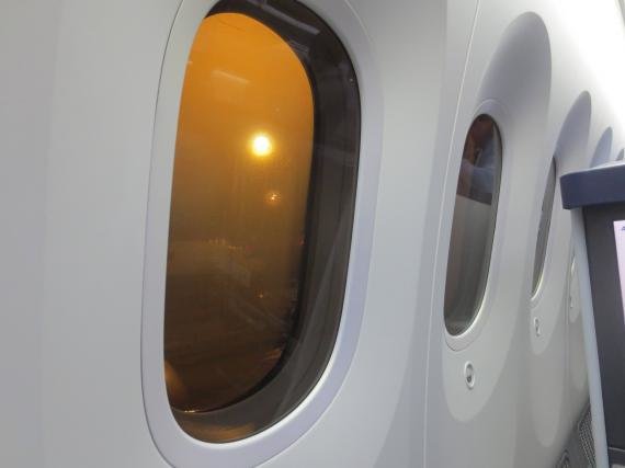 Review: ANA 787 (Dreamliner) Tokyo (NRT) to San Jose, CA Business Class