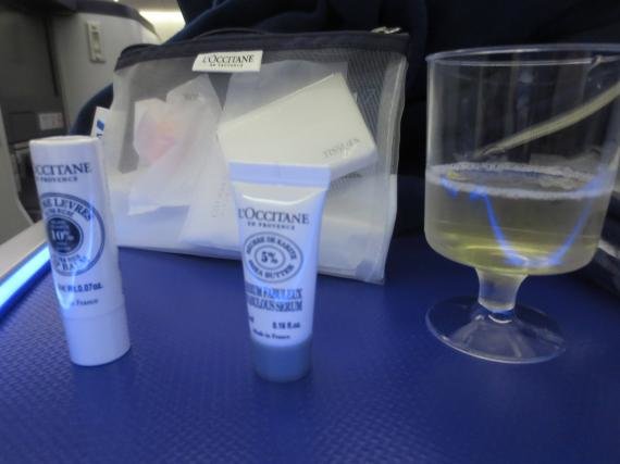 Review: ANA 787 (Dreamliner) Tokyo (NRT) to San Jose, CA Business Class