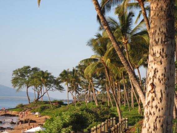 Review: Andaz Maui Hotel, Wailea, Hawaii