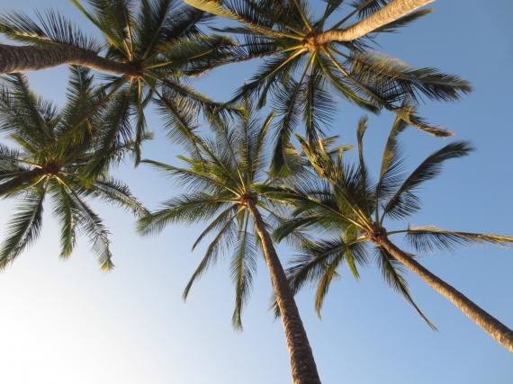 Review: Andaz Maui Hotel, Wailea, Hawaii