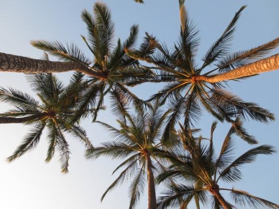 Review: Andaz Maui Hotel, Wailea, Hawaii
