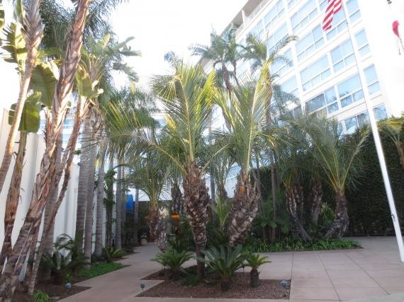 The Beverly Hilton Hotel Beverly Hills, CA review