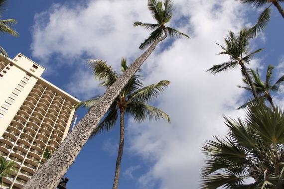 Review: Hilton Hawaiian Village Waikiki Beach Resort, Honolulu