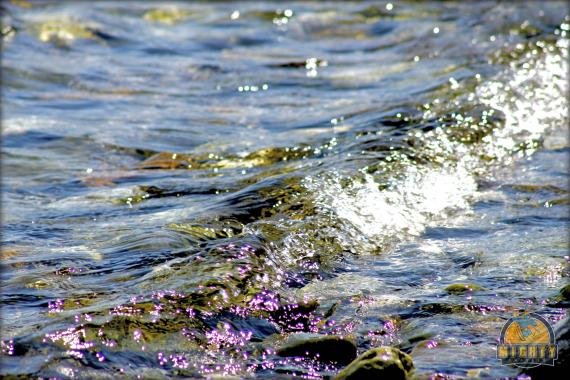 Tour Lake Baikal – the best thing to do in Irkutsk