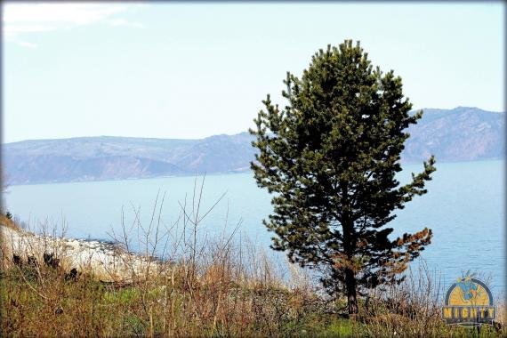 Tour Lake Baikal – the best thing to do in Irkutsk