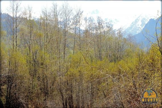 Tour Lake Baikal – the best thing to do in Irkutsk