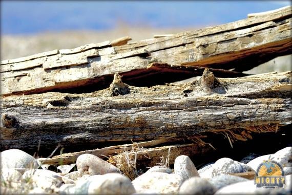 Tour Lake Baikal – the best thing to do in Irkutsk
