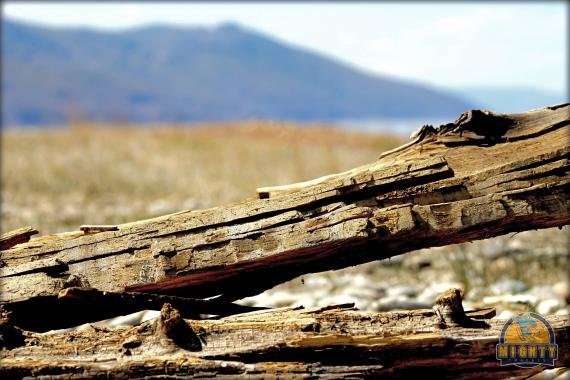 Tour Lake Baikal – the best thing to do in Irkutsk
