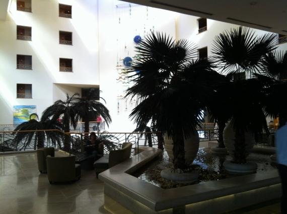 The Le Meridien Dead Sea Review