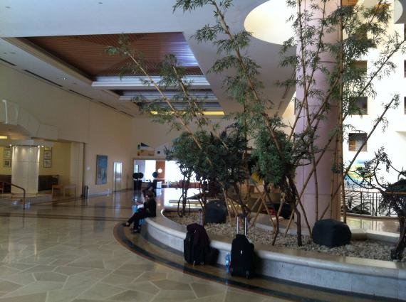 The Le Meridien Dead Sea Review