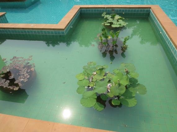 Le Meridien Siem Reap (Angkor Wat) Hotel Review
