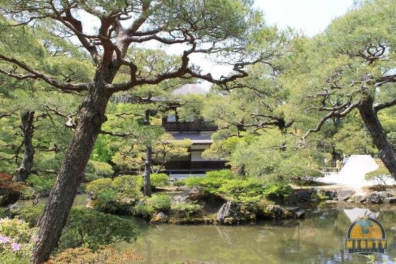 Review: Your guide to visting the temples of Kyoto – 2 days suggested itinerary
