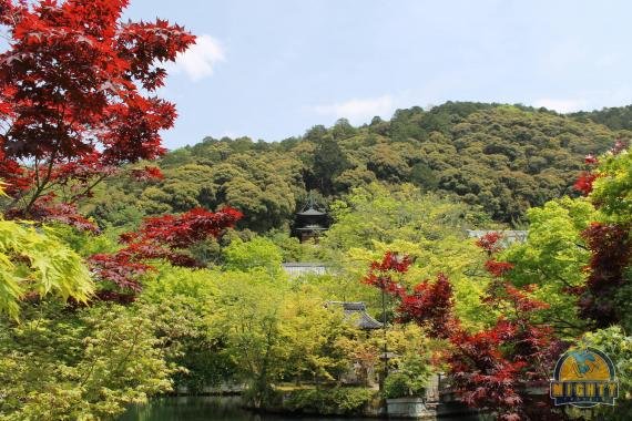 Review: Your guide to visting the temples of Kyoto – 2 days suggested itinerary