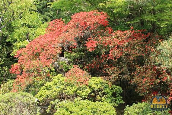 Review: Your guide to visting the temples of Kyoto – 2 days suggested itinerary