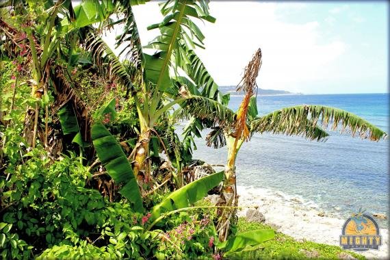 Sheraton Laguna Guam Resort Review