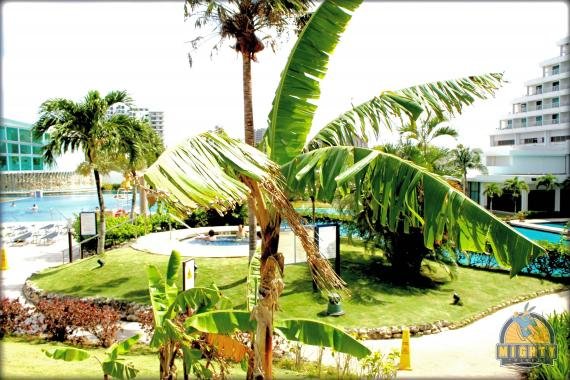 Sheraton Laguna Guam Resort Review