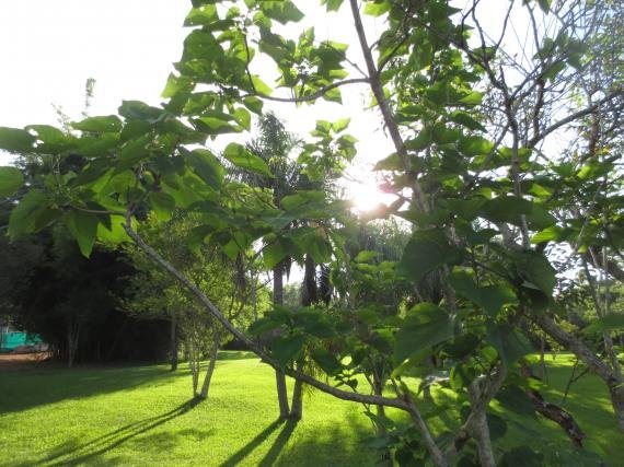Review: Sheraton Iguazu Falls, Argentina