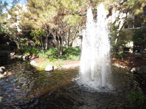 Review: Sheraton Palo Alto Hotel, California
