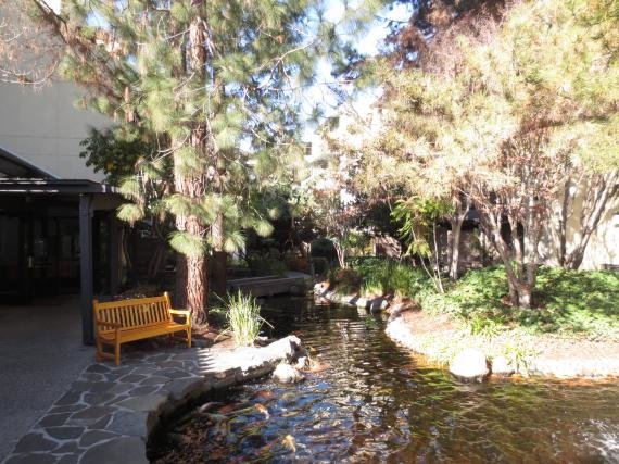 Review: Sheraton Palo Alto Hotel, California