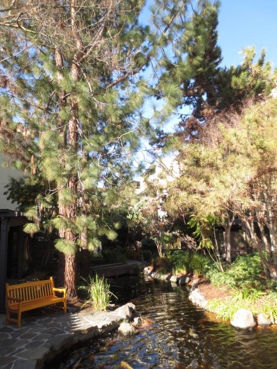 Review: Sheraton Palo Alto Hotel, California