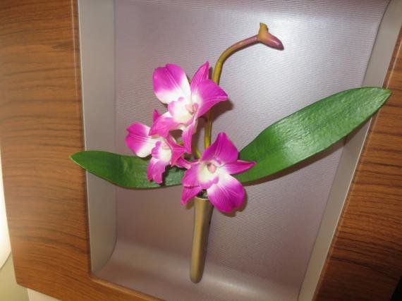 Thai Airways First Class (Suites) Tokyo, Japan to Bangkok, Thailand (BKK) Review