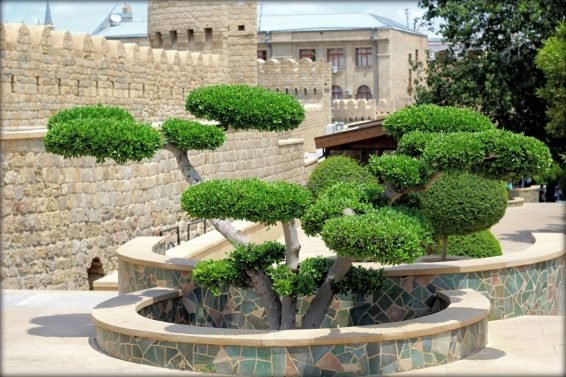 My Favorite 15 Things to do Baku