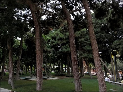 My Favorite 15 Things to do Baku