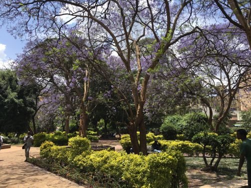 My Favorite 27 Things to do in Nairobi – Updated in 2018