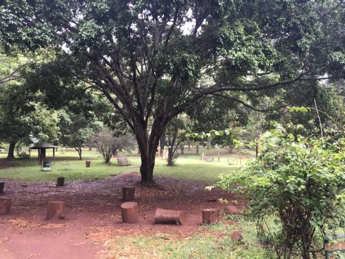 My Favorite 27 Things to do in Nairobi – Updated in 2018
