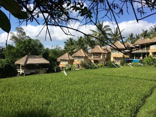 My 28 Favorite Things to do in Bali (Updated in 2019)