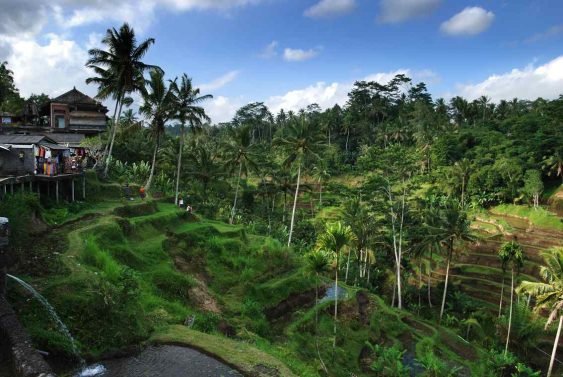 My 28 Favorite Things to do in Bali (Updated in 2019)