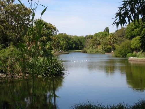 My Favorite 17 Things to do Melbourne, Australia