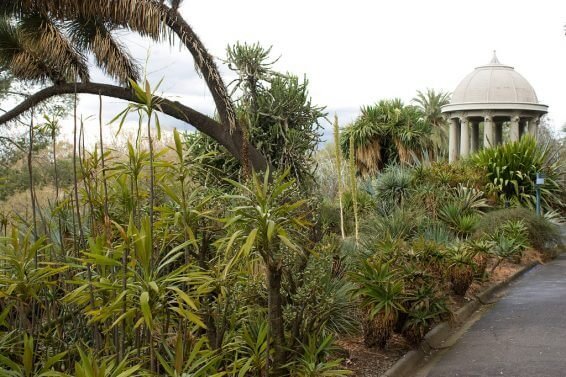 My Favorite 17 Things to do Melbourne, Australia