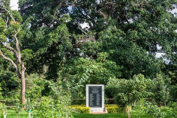 My Favorite 27 Things to do in Nairobi – Updated in 2018