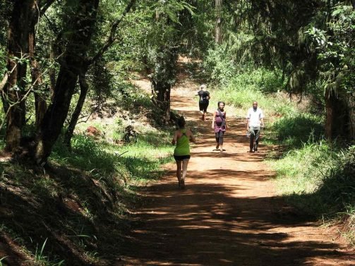My Favorite 27 Things to do in Nairobi – Updated in 2018