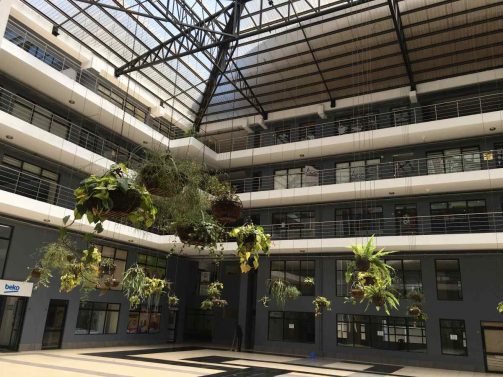 My Favorite 27 Things to do in Nairobi – Updated in 2018