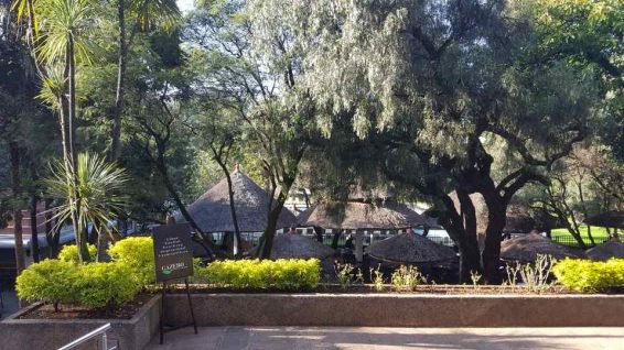Updated in 2018: My Favorite 27 Things to do in Addis Ababa, Ethiopia