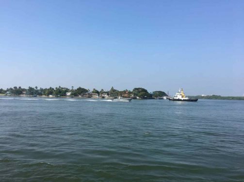 My Favorite 12 Things to do Kochi (Kerala, India)