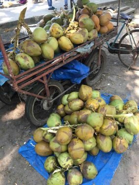 My Favorite 12 Things to do Kochi (Kerala, India)