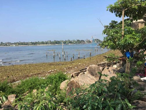 My Favorite 12 Things to do Kochi (Kerala, India)