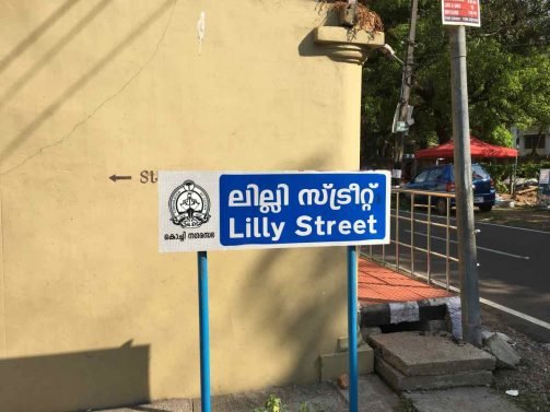 My Favorite 12 Things to do Kochi (Kerala, India)